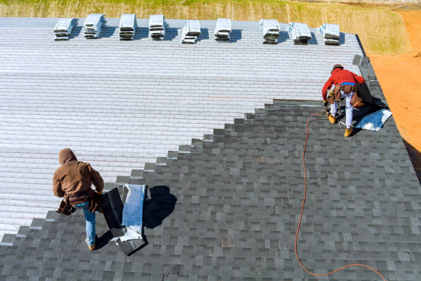 Roof Repair Estimates in Bellview, FL
